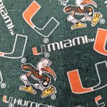 University of Miami Hurricanes